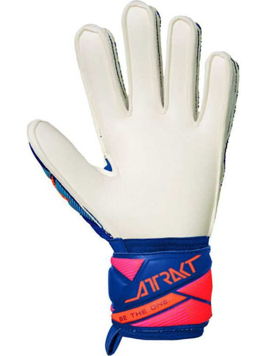 Reusch Kinder Torwarthandschuhe Blau