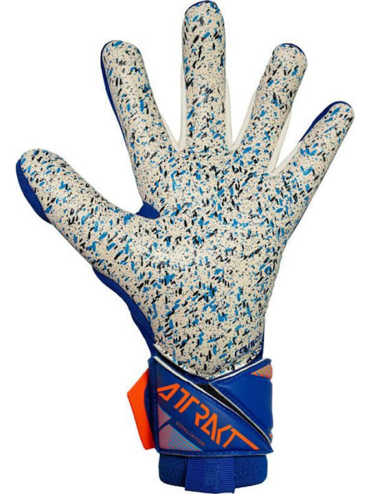 Reusch Goalkeeper Gloves Adults Blue