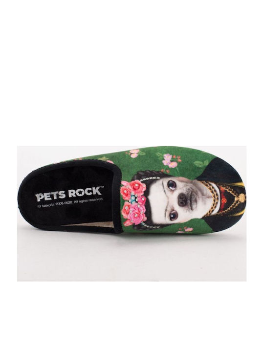 Pets Rock