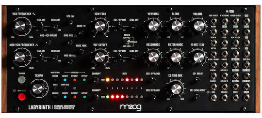 Moog Синтезатор