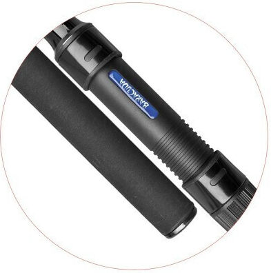 Baracuda Lansetă Pescuit pentru Pescuitul la Crap / Casting 3.9m 3.5lb