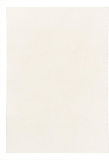 Newplan Velvet 66 Beige Width 80cm Cut-to-Measure