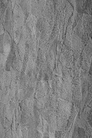 Teppich Rechteckig Pelzige Beige