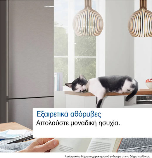 Bosch Ψυγειοκαταψύκτης 440lt Total NoFrost Υ203xΠ70xΒ66.7εκ. Γκρι KGN49OCAF