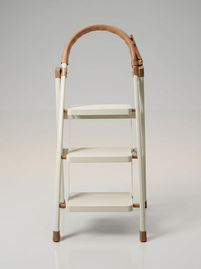 Aluminum Ladder with 3 Steps