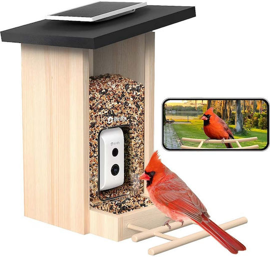 Birdfy Vogel Futterautomat Ai Kamera Ip66 Wasserdicht Solar Panel Braun Beige