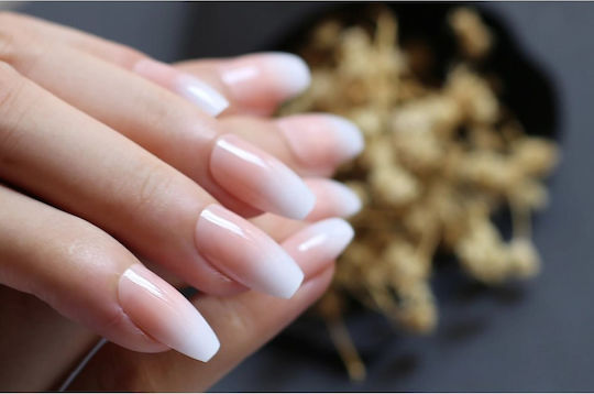 Set 24 Tipsuri Unghii False Balerină Ombre Franceză Alb Nude