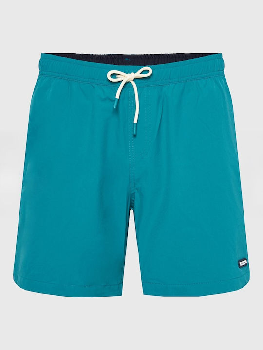 Men's Swimwear Shorts Multicolor