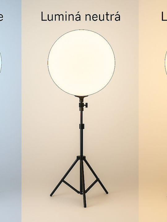 Round LED Panel with Warm White Light 3000K