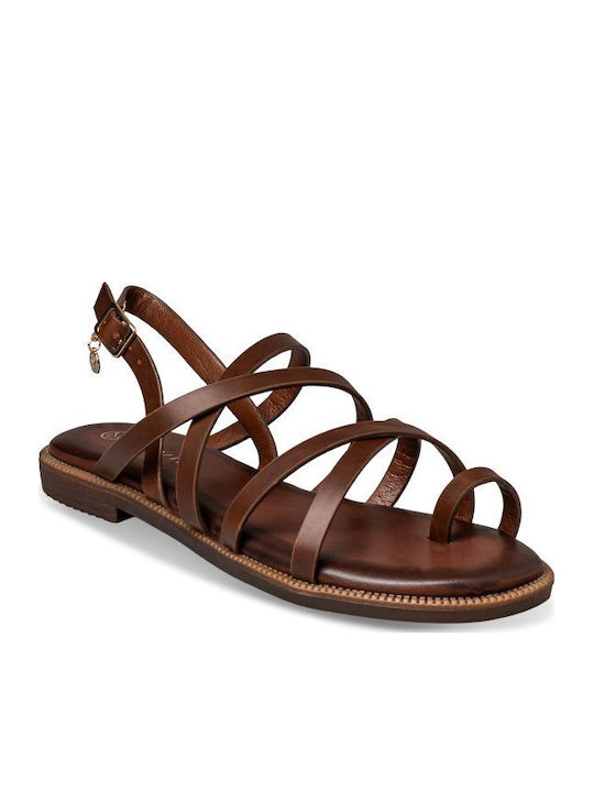 Envie Shoes Envie Shoes