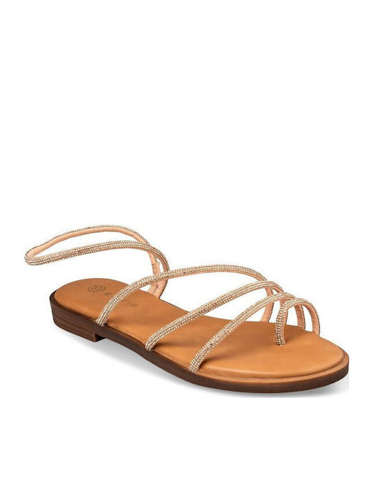 Envie Shoes Envie Shoes