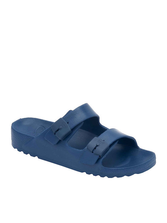 Scholl
