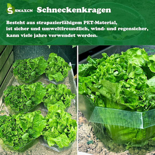 Transparente Anti-Schneckenringe 30 Stück Ø 24 cm Wiederverwendbar