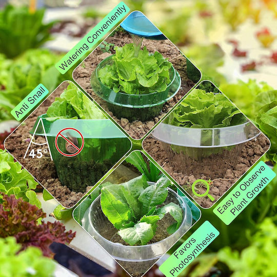 Set 20 Kragen 20 Netze Pflanzenschutz Gegen Schnecken Insekten