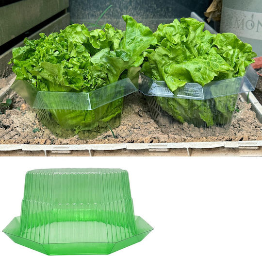 Protective Collar Shield Plants Against Snails Plastic 20 Pcs