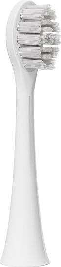 Original Be Lucent Prism Heads Toothbrush Replacement Tips White 4 Pcs Tooth Sensitivity