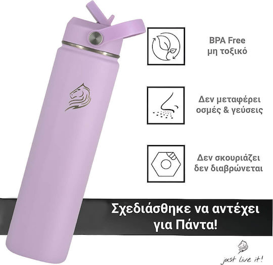 Cool'NMore Stainless Steel Thermos Bottle BPA Free 750ml Lavender with Straw Handle Loop and Mouthpiece