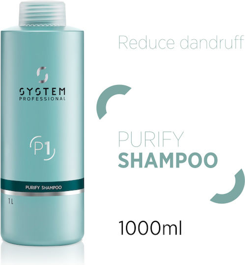 System Professional Derma Purify P1 Shampoos against Dandruff for All Hair Types 1000ml