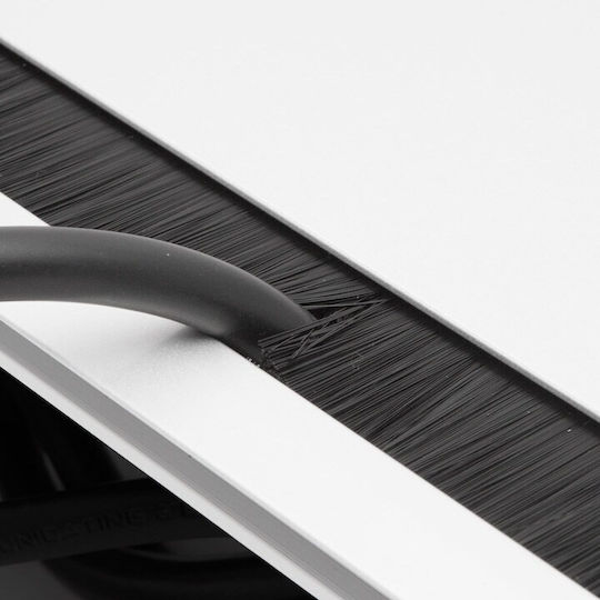 Delight Πολύπριζο 3 Θέσεων με USB-A και Καλώδιο 1.5m