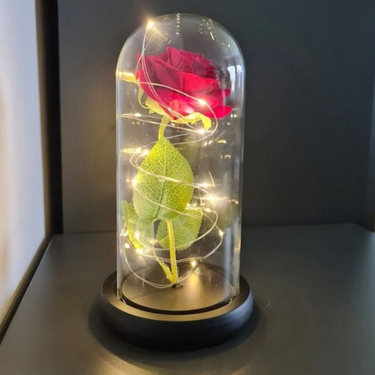 Cryopreserved Rose In Glass Dome Led Lights