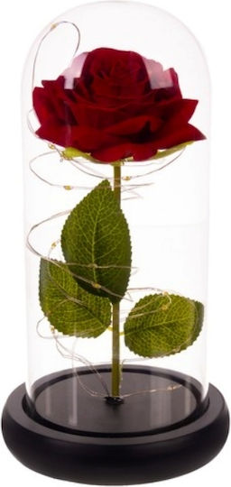 Cryopreserved Rose In Glass Dome Led Lights