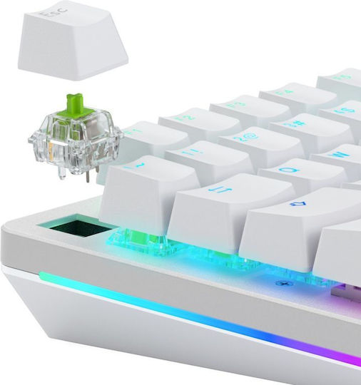 Glorious GAKC-600 Keyboard Switches