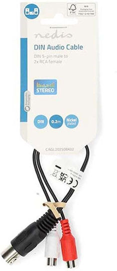 Nedis Cable 2x RCA female - 2x RCA female 0.2m CAGL20250BK02