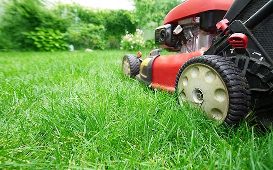 Bros Nitrogen Phosphorus Potassium Fertilizer for Lawn 1kg
