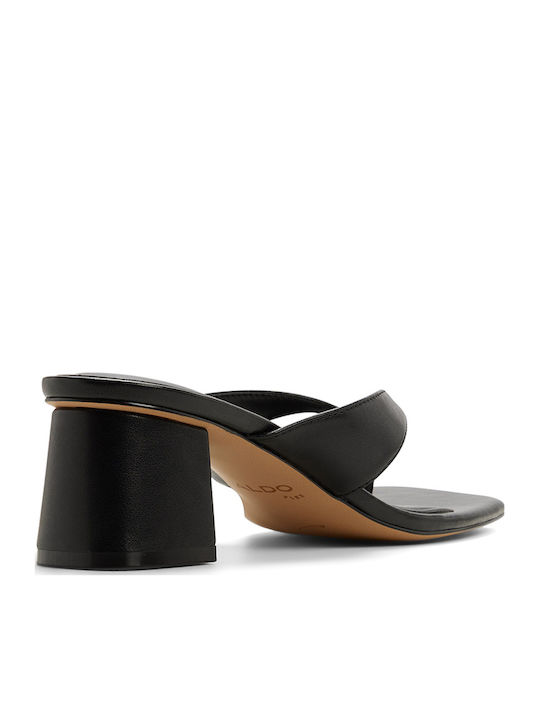 Aldo
