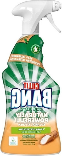Reckitt Καθαριστικό Spray για Λίπη 750ml