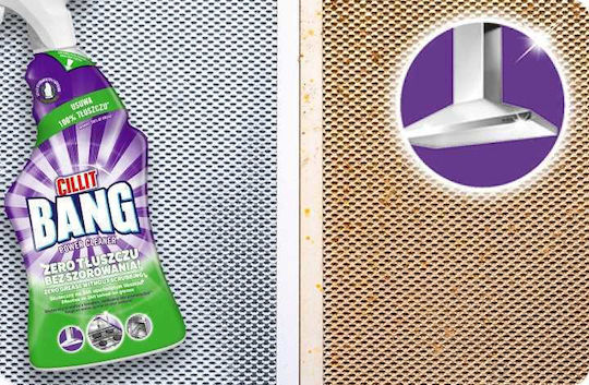 Reckitt Καθαριστικό Spray για Λίπη 750ml