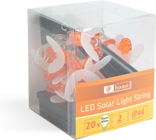 Solarleuchte Blume Warmes Weiß mit Fotowiderstand IP44