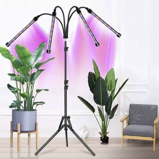 Lămpi Decorative Pentru Masă LED
