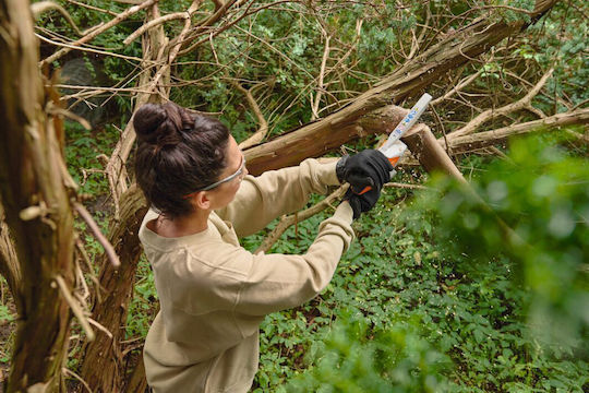 Stihl GTA 30 Верижен Трион на Батерия 2x2.1Ah Безчетков 1.5кг