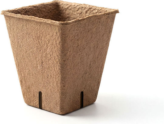 Ghivece De Flori Din Hârtie Biodegradabilă Set Pătrat 6 X 6 Cm 12 Bucăți Pentru Semințe Ghivece De Flori Din Hârtie Biodegradabilă Set Pătrat 6 X 6 Cm 12 Bucăți Pentru Semințe