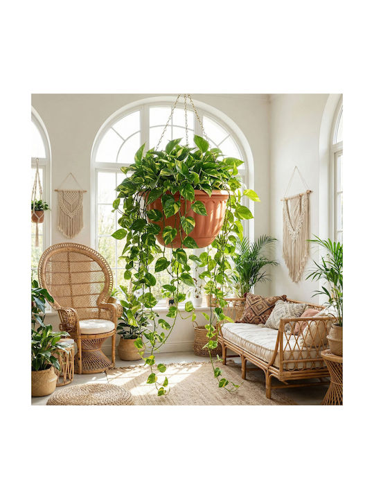 Lanț Ghiveci De Flori Din Plastic Culoare Teracotă Ø30 X 18 Cm Balcon Grădină