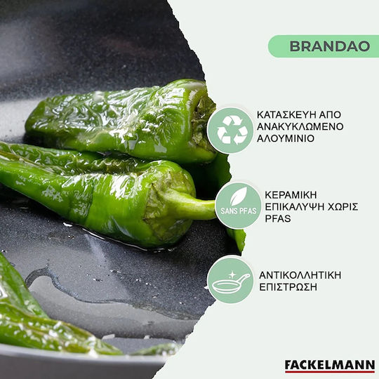 Fackelmann Non-Stick Aluminum Pan Brandao 20cm