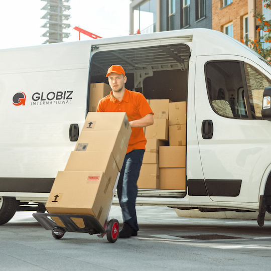 Cărucior de Transport Pliabil pentru Sarcină de Până la 90kg în Culoare Gri
