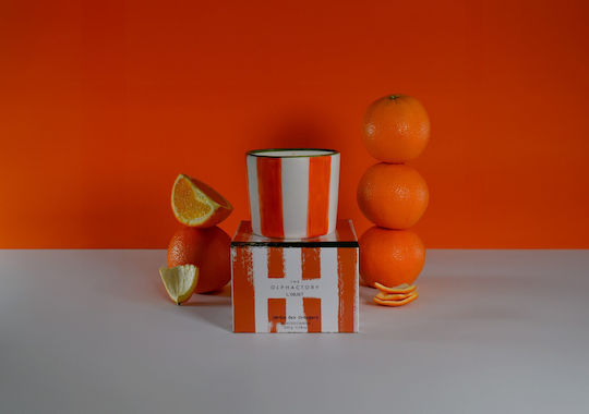Ambientair Aromatisch Kerze in Gefäß mit Parfüm Orange 320gr