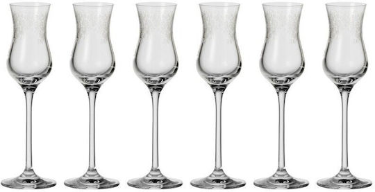 Leonardo Set 6 Grappa Rum Glasses 90ml Chateau