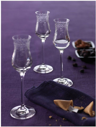 Leonardo Set 6 Grappa Rum Glasses 90ml Chateau