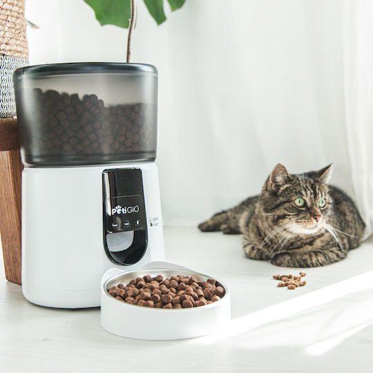 Petigio Automatic Feeder