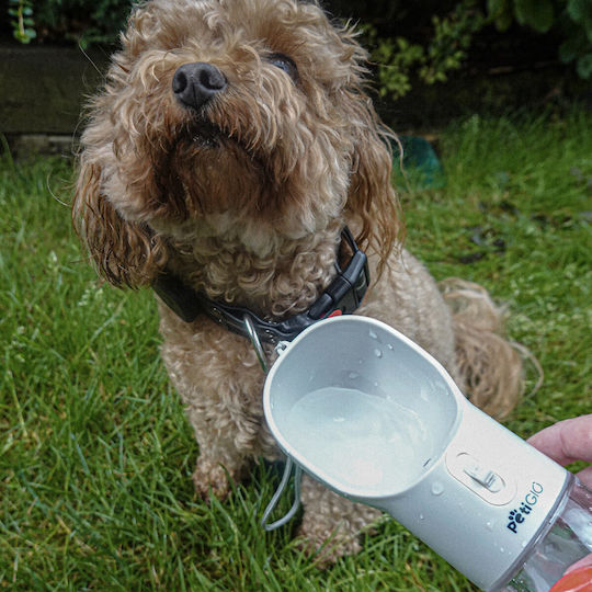 Petigio Wasserflasche für Hund aus ABS-Kunststoff