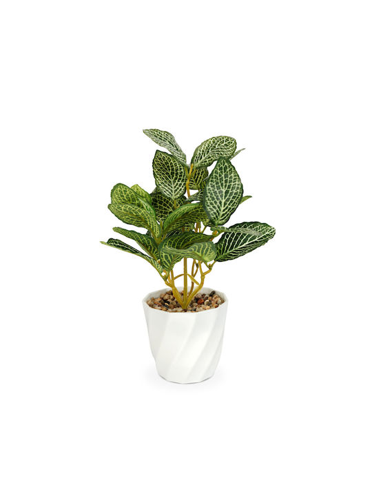 Dekorative Künstliche Fittonia Pflanze 20 Cm In Topfpflanze Realistisches Design Home Office Dekor