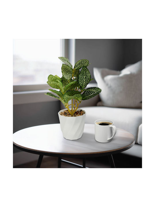 Dekorative Künstliche Fittonia Pflanze 20 Cm In Topfpflanze Realistisches Design Home Office Dekor