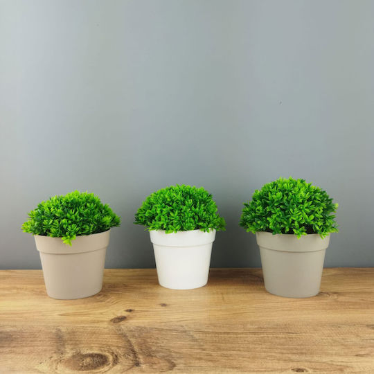 Dekorative Künstliche Pflanze In Topfpflanze 13 Cm Home Office Dekor Realistische Grüne Gestaltung