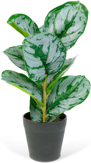 Künstliche Zebra-Blattpflanze 34 cm Grüne Weiße In Topfpflanze Modernes Zuhause Büro Dekor Künstliche Zebra-Blattpflanze 34 cm Grüne Weiße In Topfpflanze Modernes Zuhause Büro Dekor