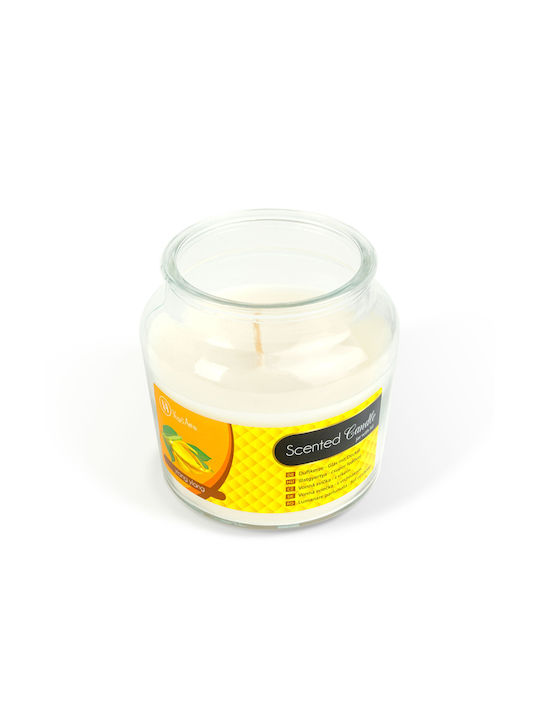 Lumânare Aromatică în Borcan cu Miros Cadou Perfect Pentru Cei Dragi Cu Arome Plăcute Recipient Din Sticlă Cu Capac Aspect Decorativ Atmosferă Magică Parfum De Durată Ușor De Folosit Notă Persoanele Sensibile La Miros Trebuie Să Folosească Cu Prudență Greutate 310gr