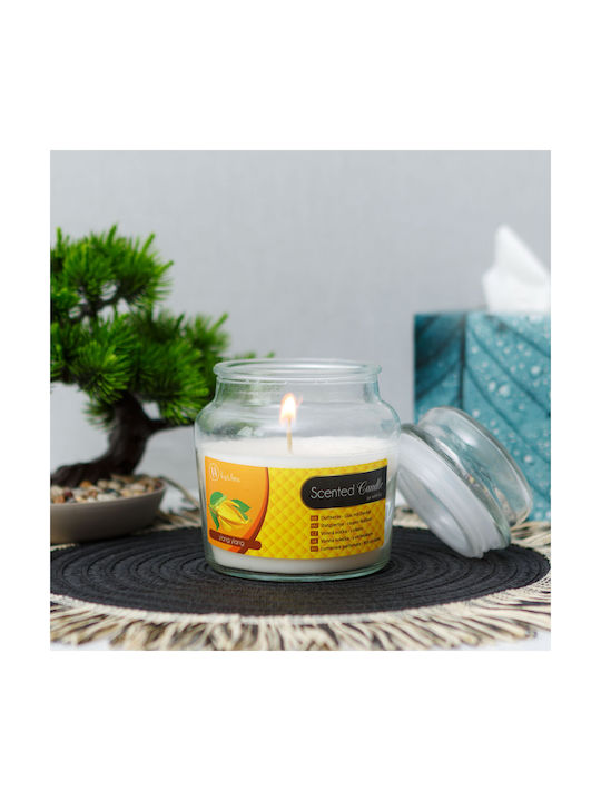 Lumânare Aromatică în Borcan cu Miros Cadou Perfect Pentru Cei Dragi Cu Arome Plăcute Recipient Din Sticlă Cu Capac Aspect Decorativ Atmosferă Magică Parfum De Durată Ușor De Folosit Notă Persoanele Sensibile La Miros Trebuie Să Folosească Cu Prudență Greutate 310gr