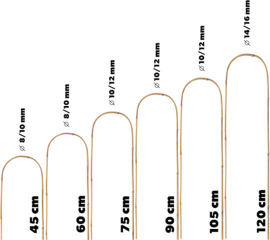 Kadax Bamboo Arch Support 90 X 15 Cm 5 Pcs